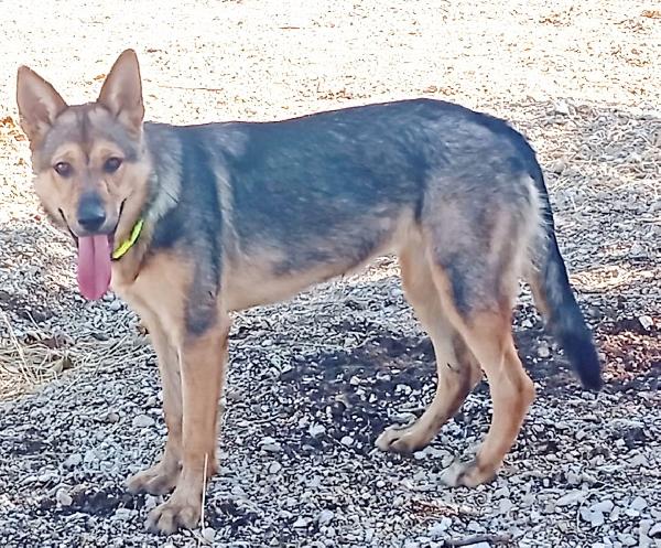 Ninì, affettuosa Foto 3